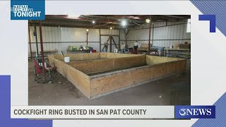 Property near Mathis busted for hosting cockfighting event