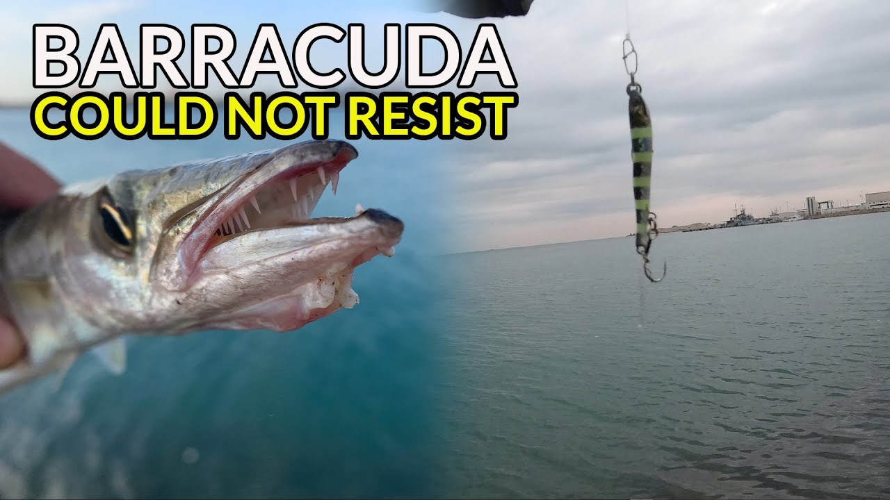 EP52  - صيد السمك كاستنج جدة | فلبيني عربي فلوج  | Fishing in Jeddah (English Subtitle)