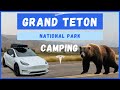 Camping Grand Teton in Search of Grizzly Bears in Tesla Model Y | S1:E14