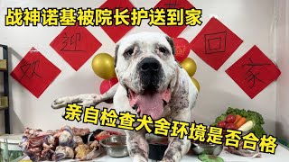 戰神諾基被院長護送到家，親自檢查犬舍環境是否合格，看完放心了