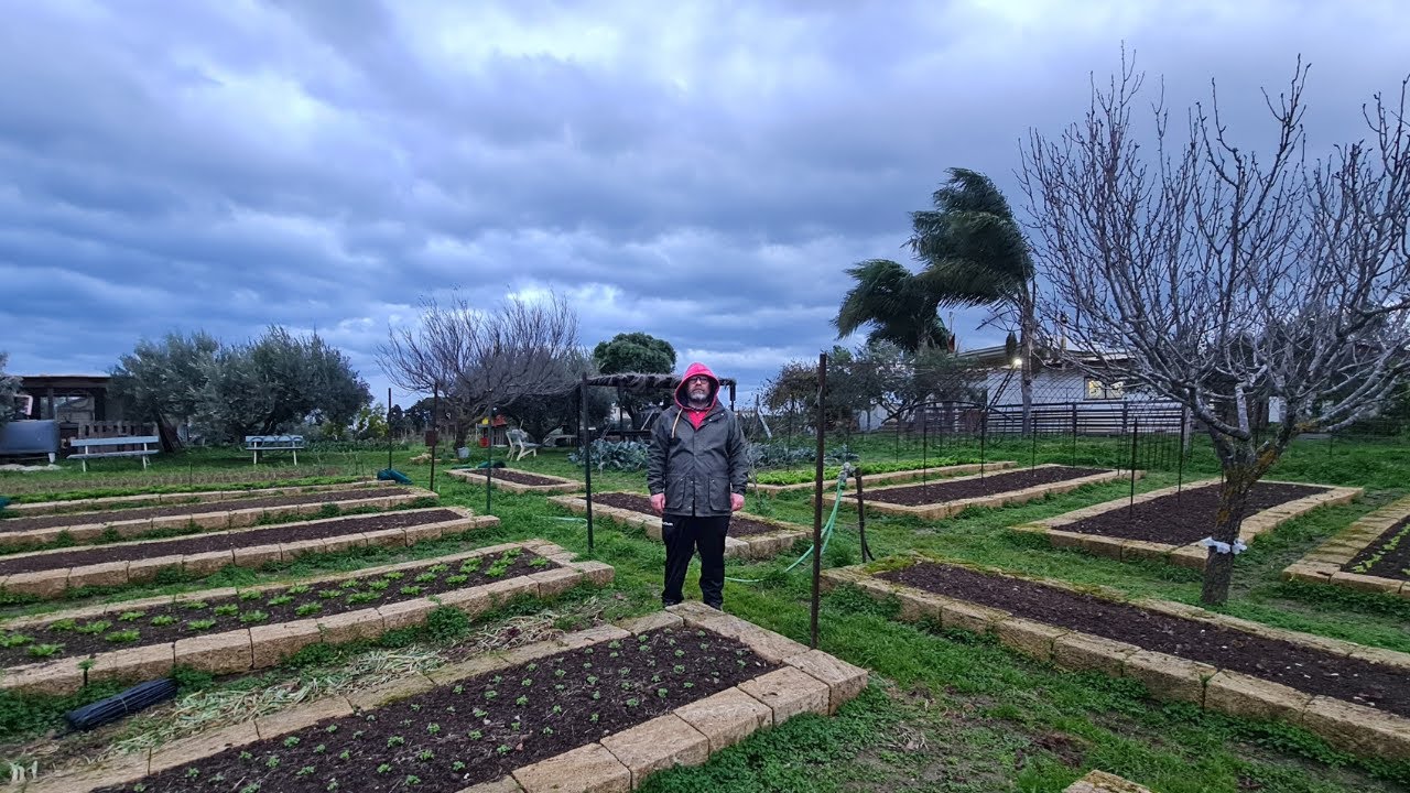 Сможет ли наша ферма на Сицилии пережить циклон Гарри?