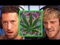 LOGAN PAUL AND MIKE TALK SMOKING AND PSYCHEDELICS