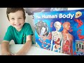 Детский Набор Анатомия Человека The Human Body by Science Museum Лаборатория Mark and Leo