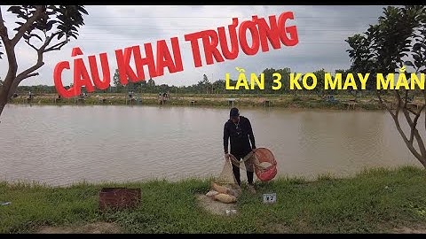 CÂU KHAI TRƯƠNG HỒ CÂU HẢI ĐĂNG - CÂU CÁ CHÉP VÀO NGÀY CÁ VẬT ĐẺ - NẮNG NÓNG 39*C - PHÚC HÀ FISHING