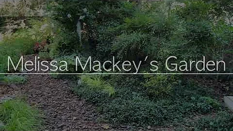 Tour of Melissa Mackey's Garden
