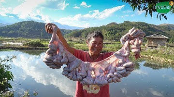 SAPA TV | ẨM THỰC ĐẶC BIỆT Ở ĐÁM CƯỚI NGƯỜI DÂN TỘC THÁI