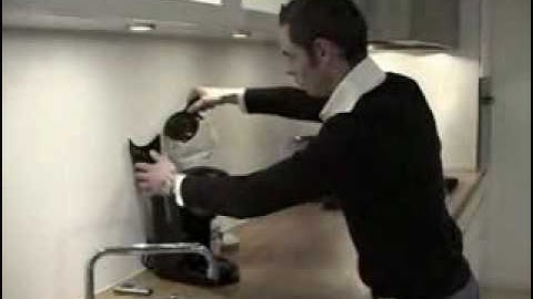 CoffeeKaizen_Part_3_-_Future_State.wmv