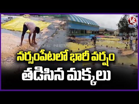 Heavy Rain Lashes Narsampet | Maize Grains Washed Away | Warangal | V6 News - V6NEWSTELUGU