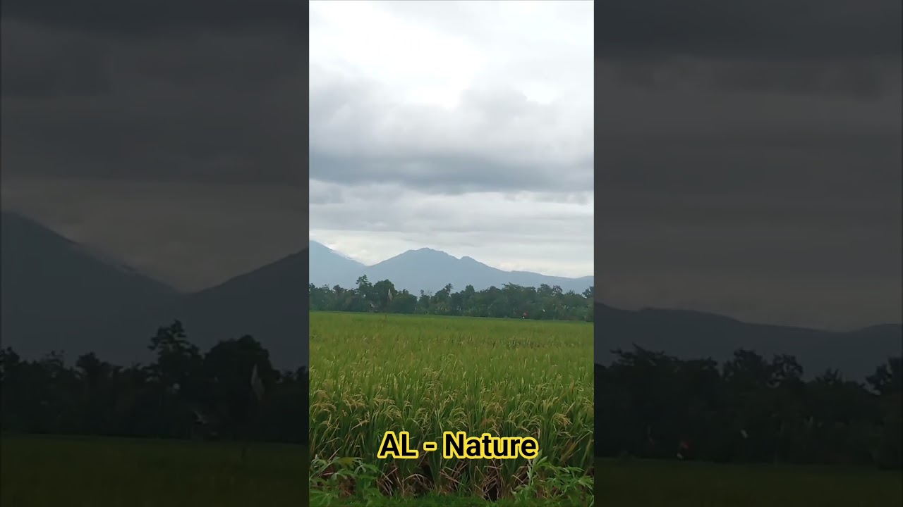 Langit Mendung | Cloudy The Sky 