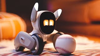 Loona the Adorable Robotic Pet