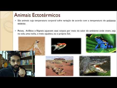 Vídeo: A temperatura afeta o ectotérmico?