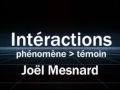 Interactions phnomne  tmoins et le facteur oz par jol mesnard