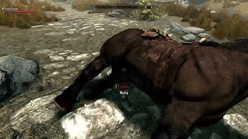 Skyrim Together Reborn is awesome