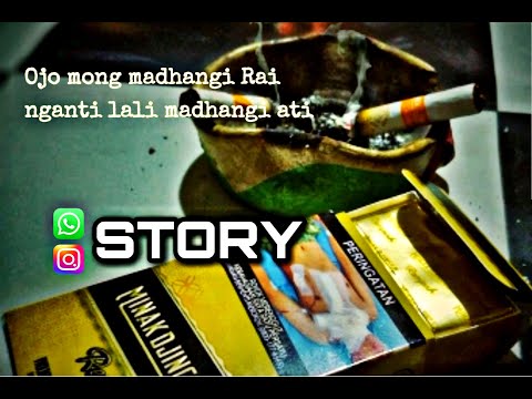 Story wa_sumamburat bang bang wetan_ardia diwang probowati