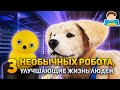 3 необычных РОБОТА, улучшающие жизнь людей | Plushkin