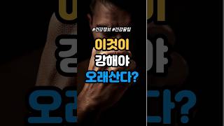 악력이 강해야 장수한다 #건강정보 #장수비법 #건강꿀팁