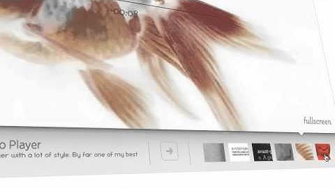 Best Flash Banner Rotator for $15