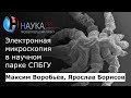 Электронная микроскопия в научном парке СПБГУ – Максим Воробьёв и Ярослав Борисов | Научпоп