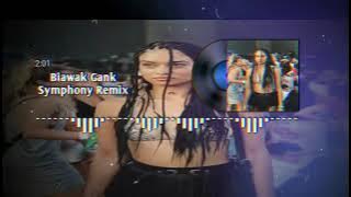 Biawak Gank - Symphony Remix