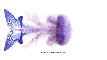 Leapfrogging vortex rings = Electro Magnetic attraction