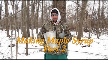 How To Make Maple Syrup (Part 2)