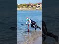 Conquering the Beach start ~ #hydrofoil #watersport