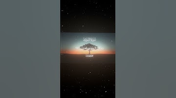 سورة الشورى|19-21|القارئ:#محمد_اللحيدان #قران #quran #راحة_نفسية #قران_كريم #تلاوة_هادئة#تلاوة_خاشعة