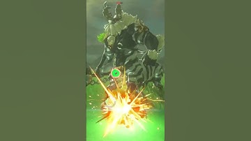 Fastest Lynel kill ever without ancient arrows