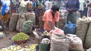 La Côte d'Ivoire passe au stade de l'agriculture intensive