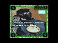 Flavor Flav 25 Years Of Flavor Full Album Public Enemy The Bomb Squad mp3
