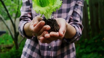 Fixing Common Composting Problems