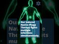 Unlock Your Body’s Natural Healing Power with INPT