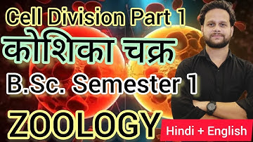 Cell Cycle and Cell Division B.Sc. Sem 1 Class XI Zoology MJPRU Daniyal Sir #mjpru #zoology #bsc #pw