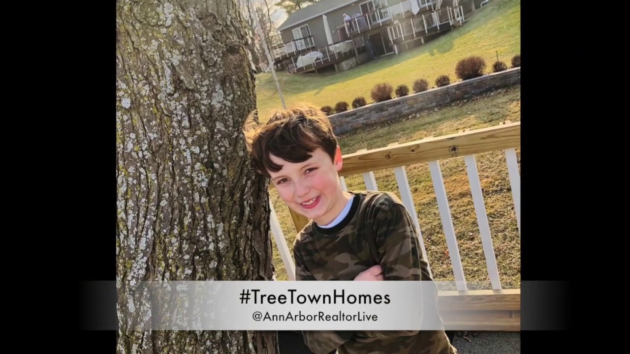 Ann Arbor Realtor Live: Tree House: Ann Arbor Area Lake Homes: Ypsilanti Twsp Washtenaw Real Estate