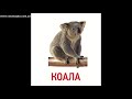 Карточки Домана 'Животные' [полная версия]