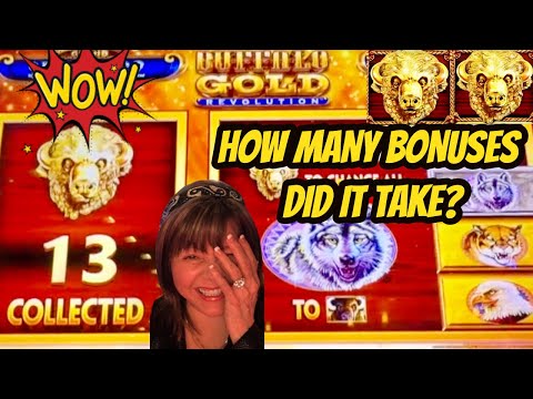 PERSISTENCE PAYS OFF YEAR OF BUFFALOS CONTINUES 