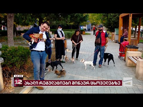 ახალი რეგულაციები შინაურ ცხოველებზე | რას გულისხმობს კანონპროექტი და რა შეზღუდვები წესდება