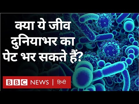 वीडियो: सूक्ष्मजीव कब पाए गए थे?
