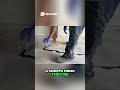 Maximize Profit_High Gross Margin Flooring Business #milliondollarbusiness #entrepreneur #franchise