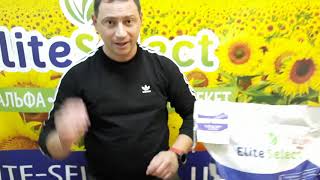 Семена подсолнечника под гранстар ЕС Супра от Элита Селект. Гибрид устойчивый к семи расам заразихи.