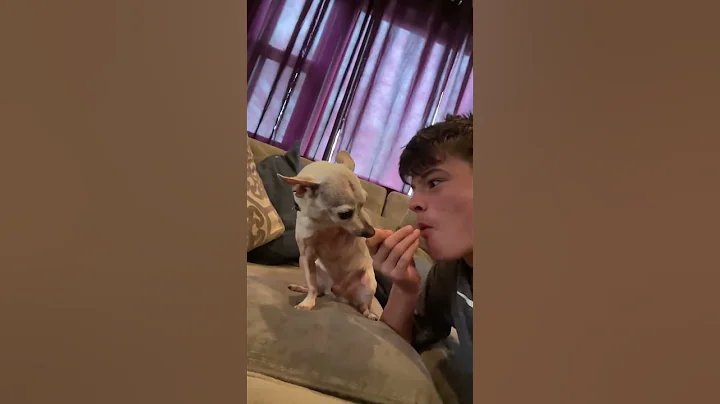 He Was Not Amused #fyp