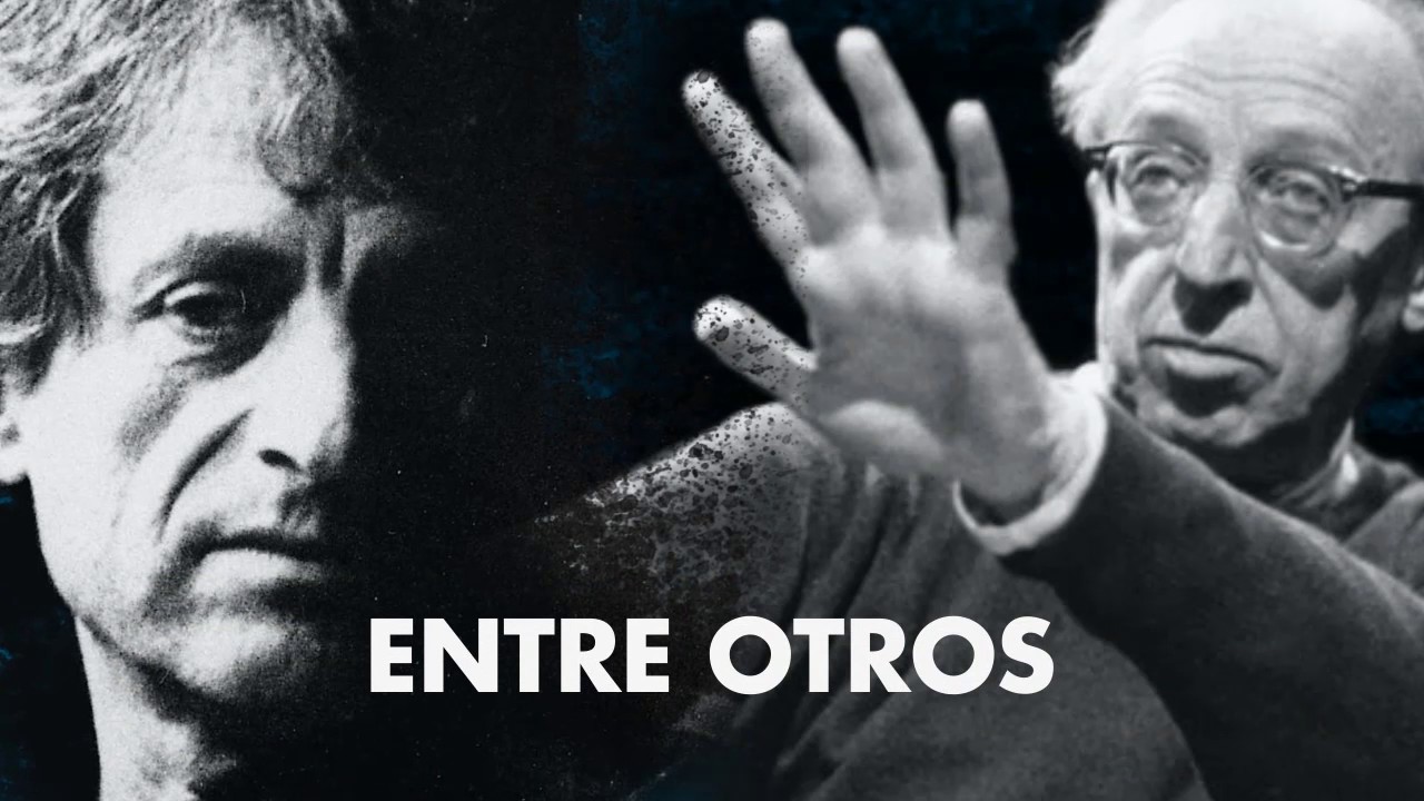 Infografía Animada Instituto Di Tella