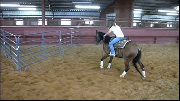 Valley View Ranch - XL Smart Zeus - 3 sorting 9-7-11