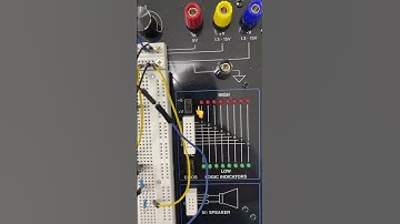 DIY Biomedical Instrumentation Amplifier: Wiring on Global Specialties PROTO-BOARD PB-503