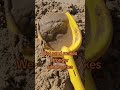 Amazing Sandcastle Building Hack To Save Time Sandcastles Lifehacks 