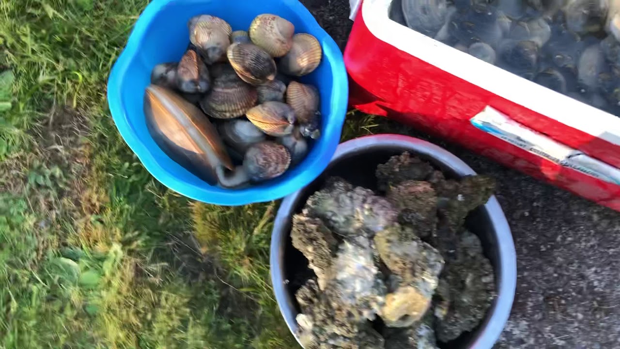 Seattle Seafood part 4