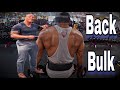 Back workout bulk up phase