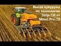 Высев кукурузы по технологии Mzuri Pro-Til