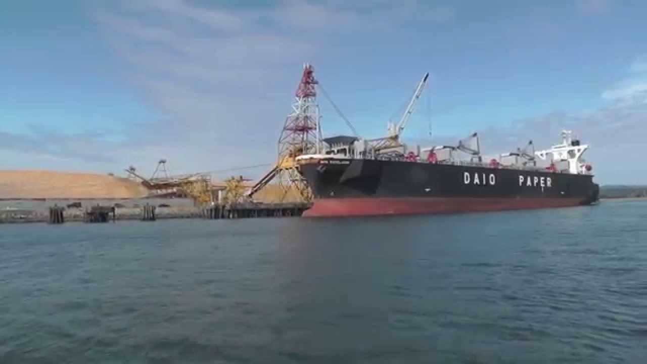Daio Excelsior - bulk wood chip cargo ship - YouTube