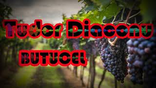 Tudor Diaconu  BUTUCEL